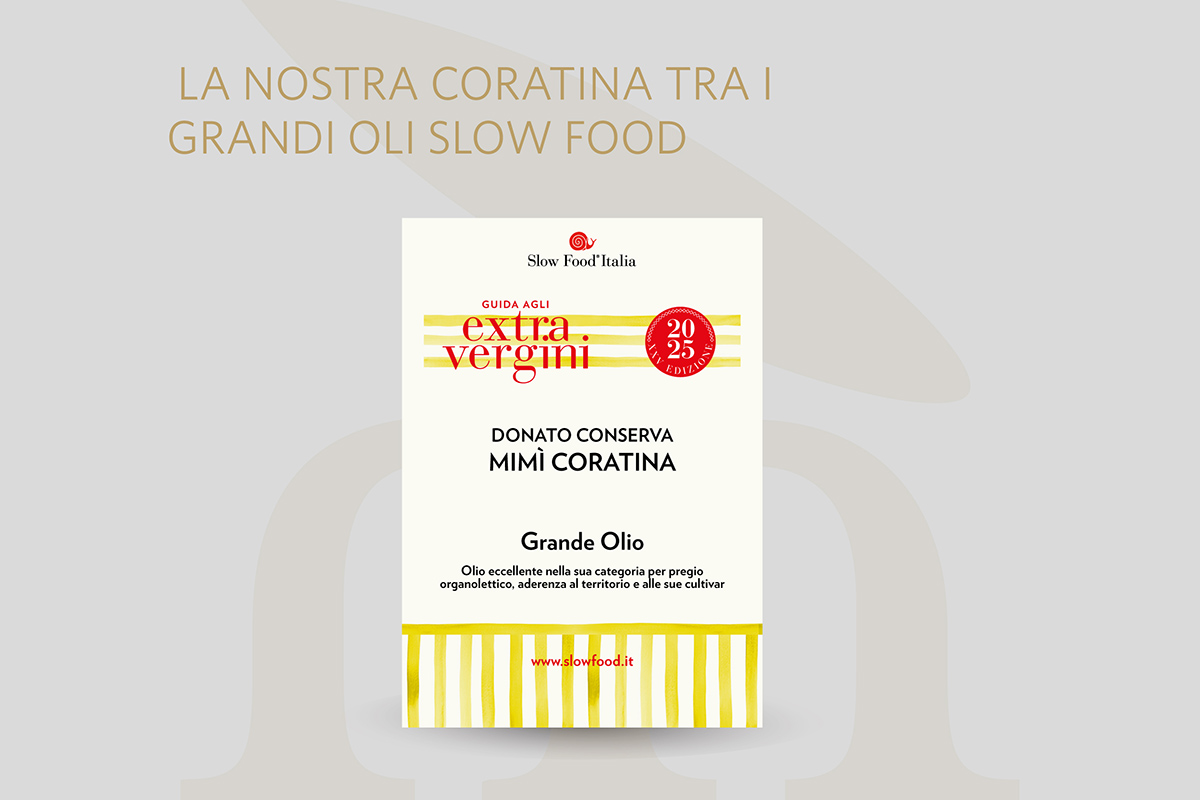 slow-food-italia-grande-olio-guida-agli-extravergini-2025