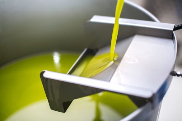 Polifenoli olio di oliva Polifenoli olio di oliva
